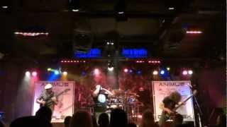 ANIMUS COMPLEX - Survive (Live @ Joes Grotto)