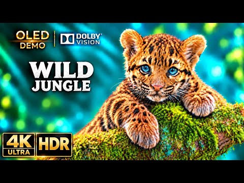 AMAZON WILD JUNGLE šæ 4K ULTRA HDR | Nature & Animal Sounds | Scenic Relaxation |