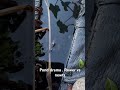 🌿 Pond Drama: The "Rower" vs. The Newts! 🌿