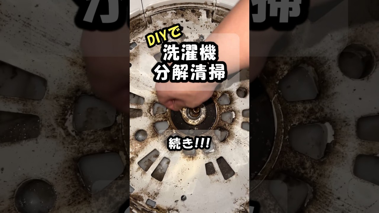 洗濯槽クリーナーだけでは限界なのか！？DIYで洗濯機を分解洗浄したら