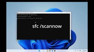 Celebrity Cannot Pin Apps to Taskbar in Windows 11/10 Net Worth