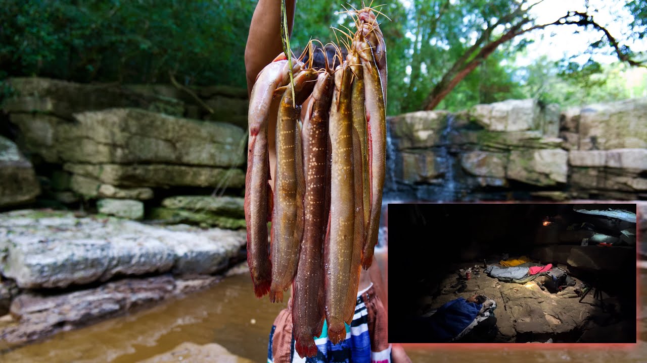 Fishing, fishing, sleeping in the rocks ស្ទូចត្រីអណ្ដែងភ្នំនៅបួកគោគេងក្រោមថ្មមួយយប់