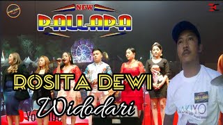 Widodari//New Pallapa terbaru//dhehan audio//AN promosindo//live konser