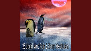 Freedom Through The Monsoon - Rain Sounds Sleep