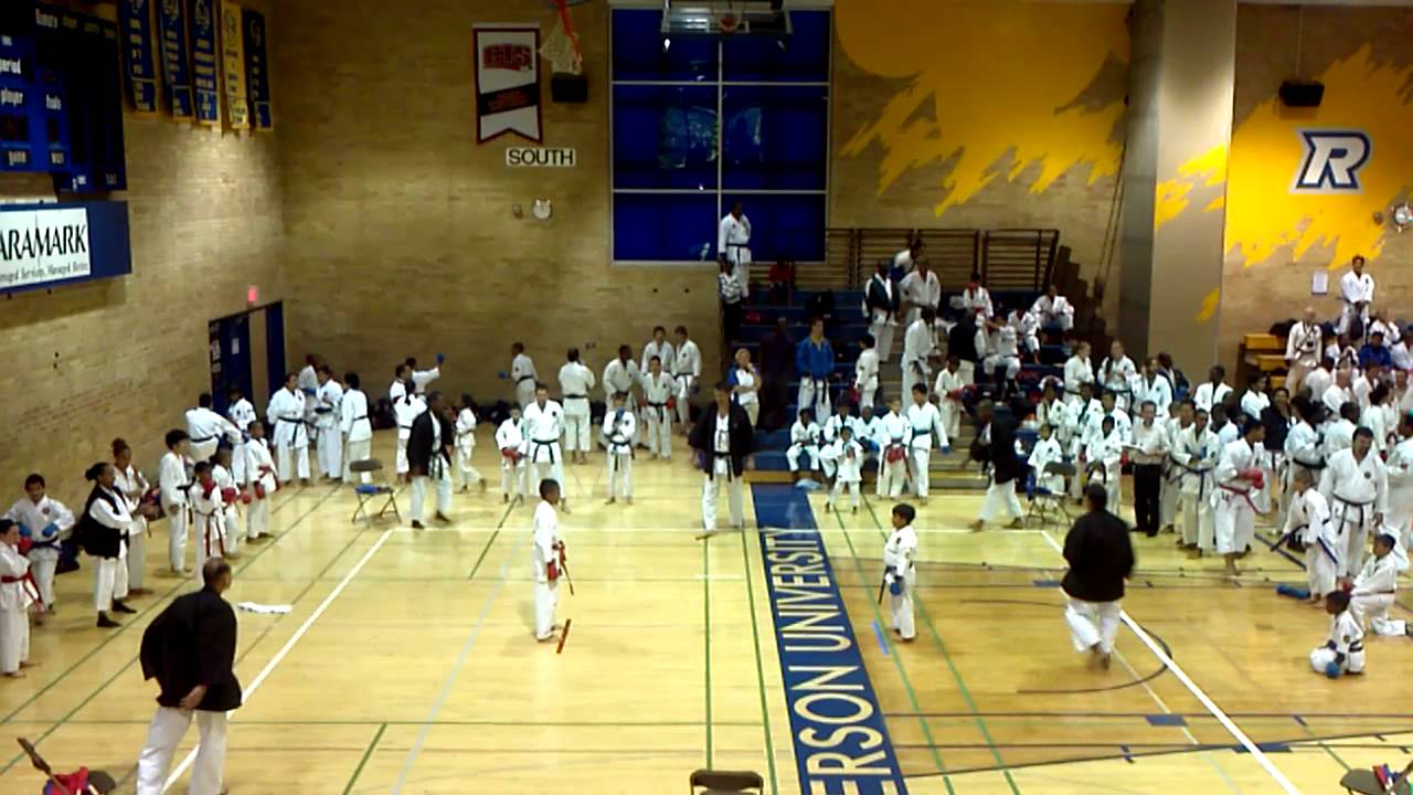 IKD World Tournament 2012 - Junior Kumite Male 1