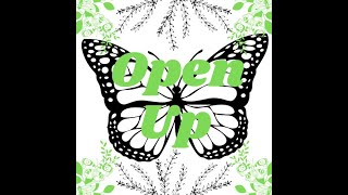 Interview with Attorney Steve Smith (Highlights) | Open Up