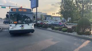 NJ Transit 2011 NABI 416.15 #5857 On The #320 To New York Arriving At Walmart.