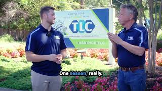 Never Hang Christmas Lights Again | Professional Holiday Light Installation - TLC Incorporated