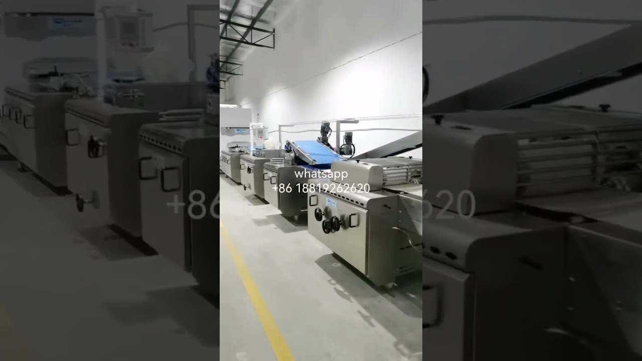 Skywin model-400mm small automatic hard and soft biscuit line