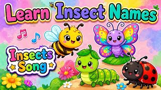 🐝🪲Insects Song for Kids  | Learn Insect Names 🦗🐜 | easy learning for kids | @vanya_junior 