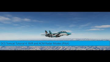 Tomcat BVR and ACM Tutorial (Pilot) / DCS