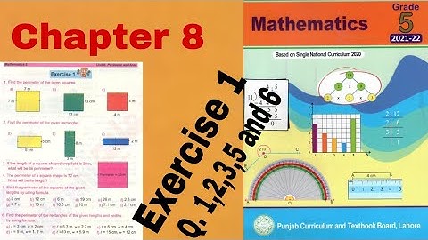 Class 5 Math | Chapter 8 Exercise 1 | Q 1,2,3,5 and 6 | Perimeter  and area | Ilmi darasgah