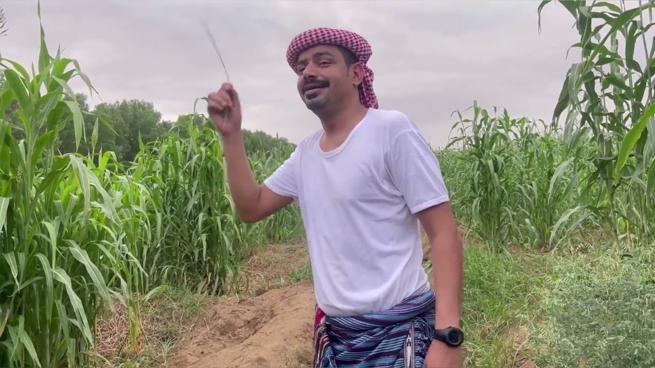 ظلم طفاح ومكر ابوالليل ( الجزء الثاني )