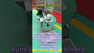 Apple Corervegetable Cuttercherry Corer