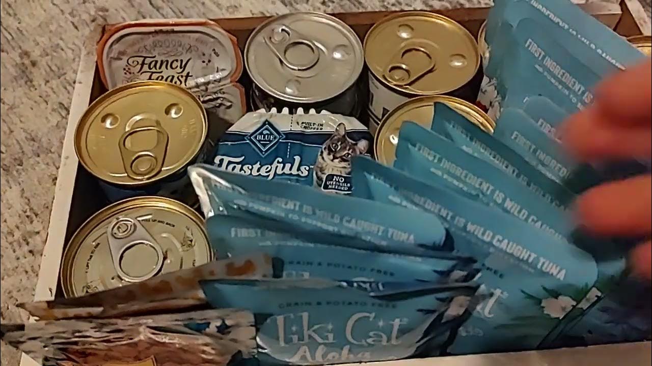 What My Cat Eats In A Month Canned Cat Food Haul Cheap Clearance what-my-cat-eats-in-a-month-canned-cat-food-haul-cheap-clearance