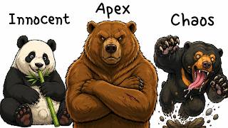 All Bear Species Explained Simply