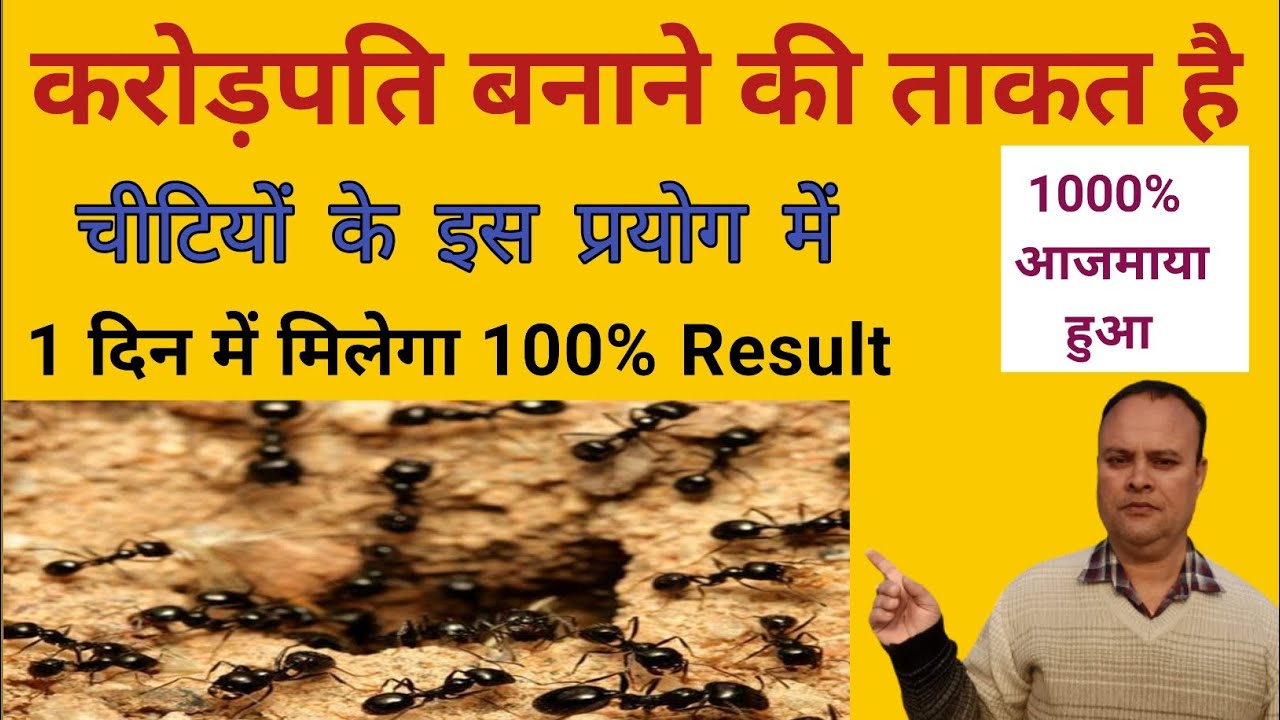 Chiti Ko Khana Dene Se Kya Hota Hai, Chiti ke liye upay, Chiti Ko Kya Khilana Chahiye