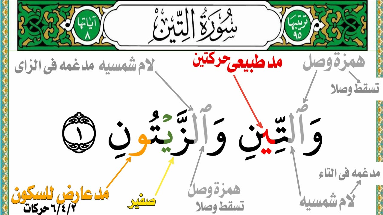 هتتعلم التجويد لو مش بتعرف تقرأ بالطريقه دى أستخراج أحكام التجويد من سورة (( التين )) كامله