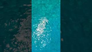 Sabah Denizi Öcek Ğla