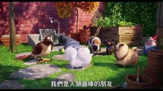 The Secret Life Of Pets - Tv-Spot 7
