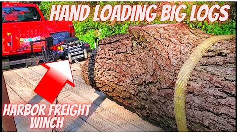 Loading Big Logs On Trailer With Badlands Winch|Urban Logging Black Walnut