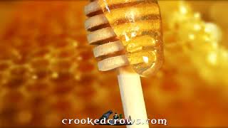 cc honey v1