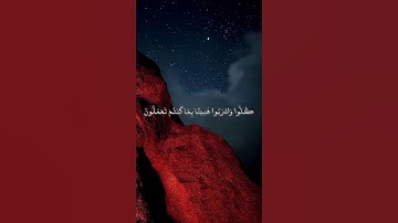 القارئ ياسر الدوسري وَيْلٌ يَوْمَئِذٍ لِلْمُكَذِّبِينَ #قرآن #اكسبلور #المصحف #راحة_نفسية