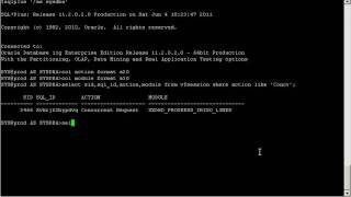How to get the sql_text of a concurrent program