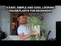 EASY HOUSE PLANTS FOR BEGINNERS