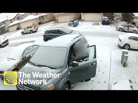 Auto Network Group Calgary