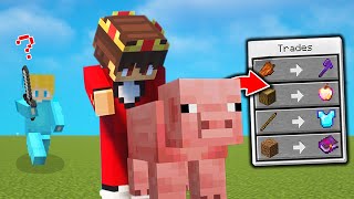 Minecraft Verfolgung, aber MOBS TRADEN OP ITEMS