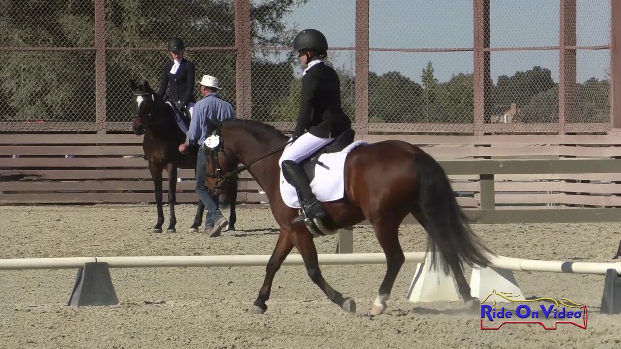 horseshoe bend 363D Kate Vorobieff on Mr Perfect Intro Dressage Woodside Oct. 2019