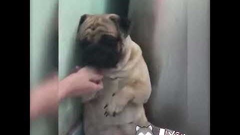 Yêu Lu   Đụng tao thì được chứ thử đụng tới mẹ tao thử coi