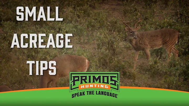Small Acreage Hunting Tips