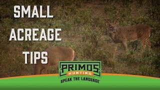 Small Acreage Hunting Tips