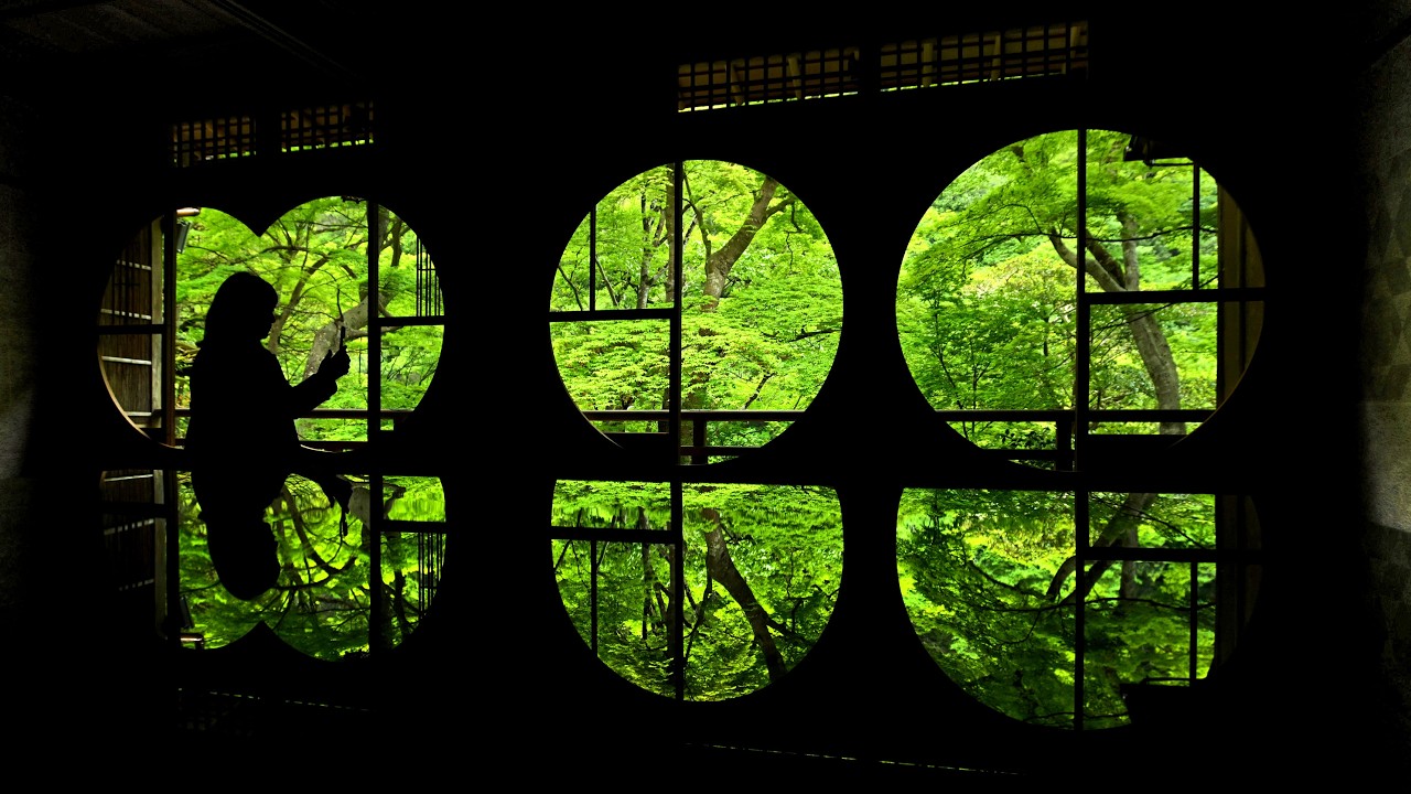 京都市右京区に「美しき新緑」が映える元料理旅館 窓外に広がる青