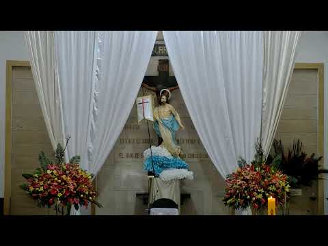 Domingo de la Divina Misericordia. Eucaristía 12:00 m.