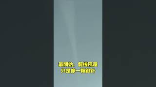 漫步龍捲風|自說自話的總裁
