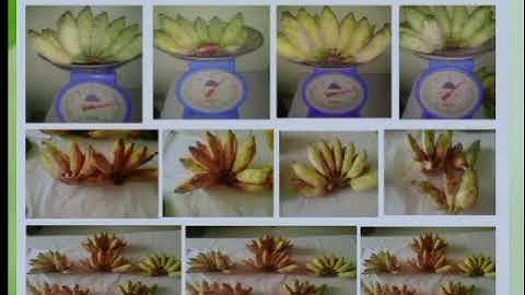 Post Harvest Handling/Cleaning,Sorting & Grading/Laboratory 3