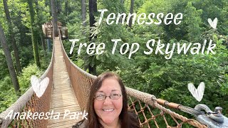 Tree Top Skywalk & Anakeesta Park - Gatlinburg, TN