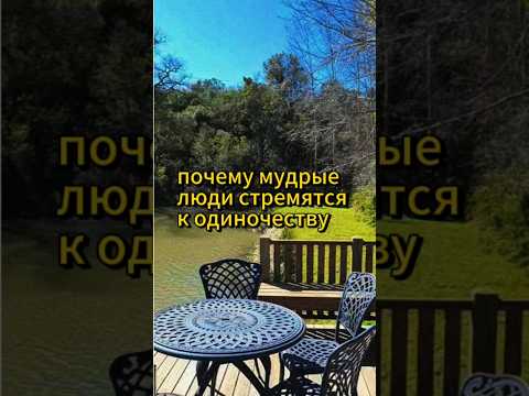 Почему мудрые люди стремятся к одиночеству. #психология #психологияотношений #саморазвитие