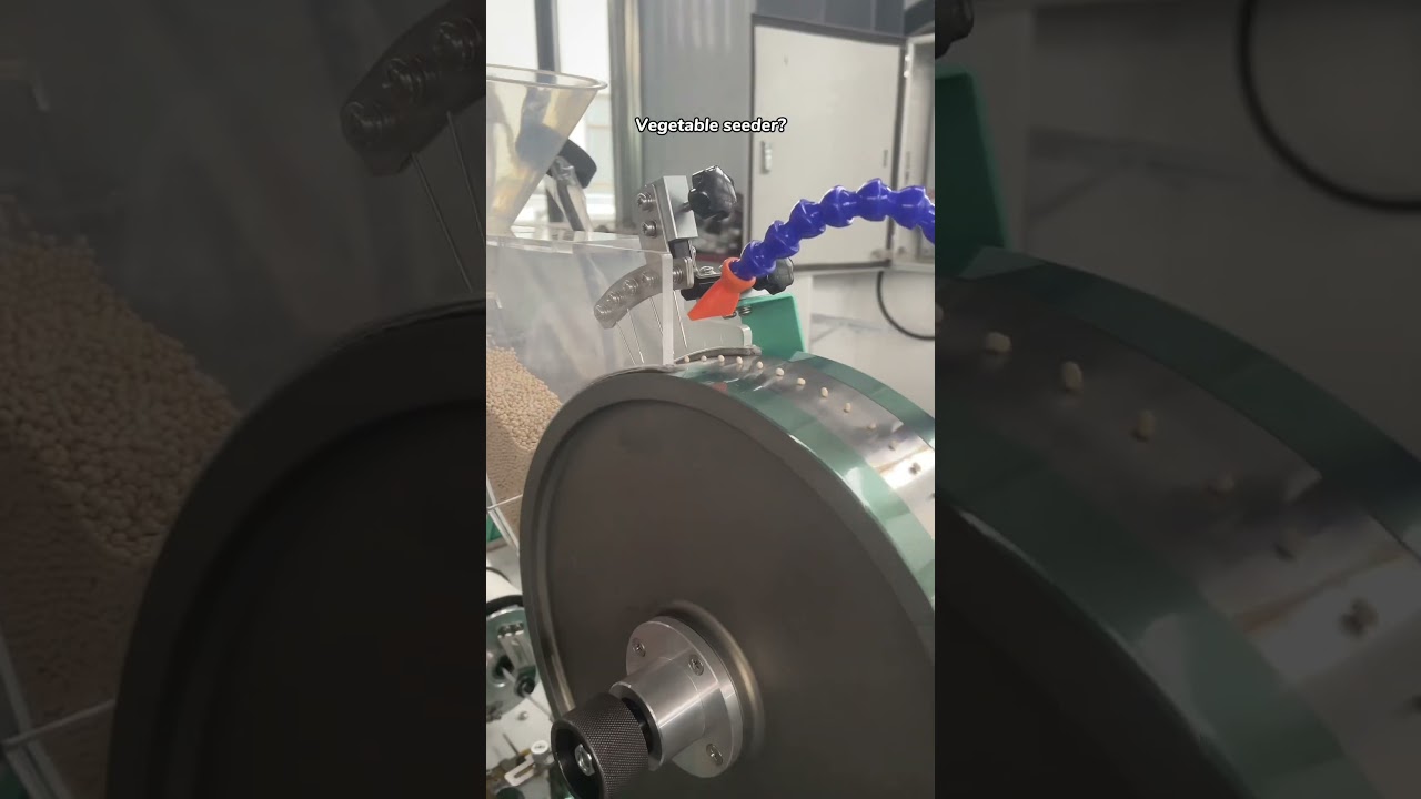 Carrot vegetable seeder for ground planting!