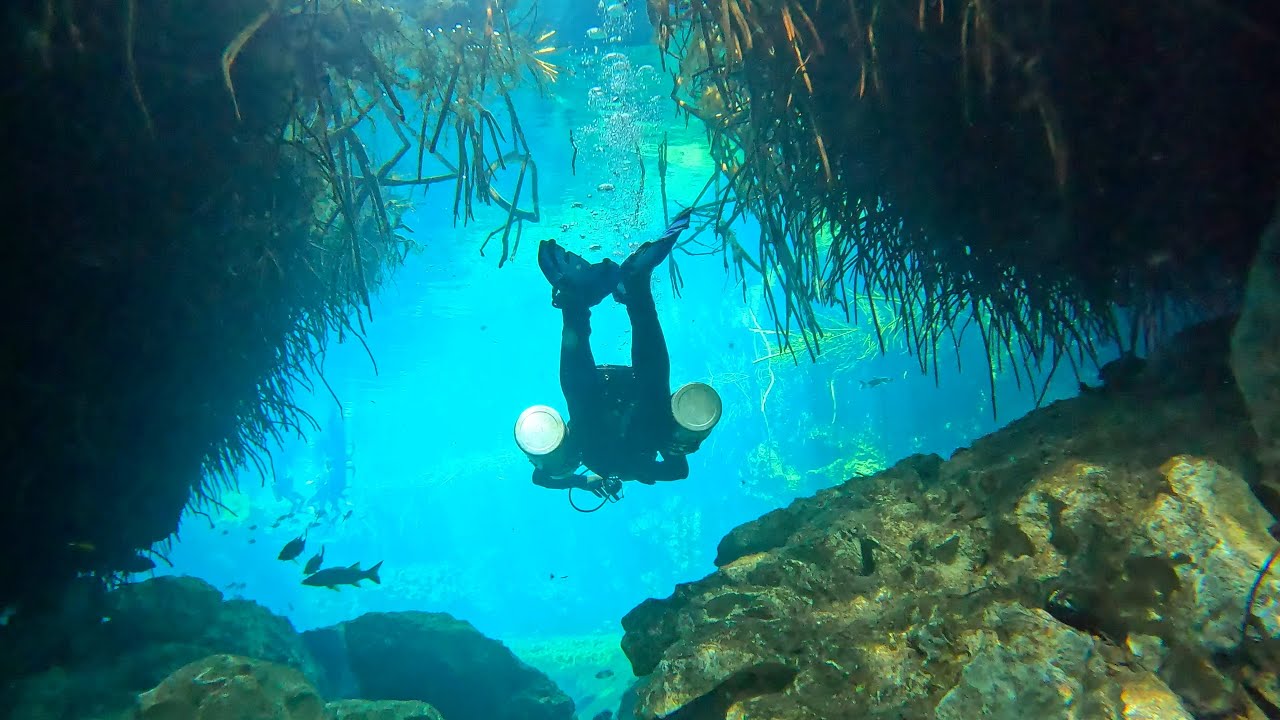 Diving in the Cenoté Casa 🤿