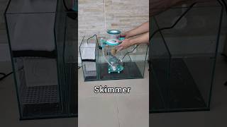 Configurao Do Sump Do Aqurio Marinho aquarismo reefminuto