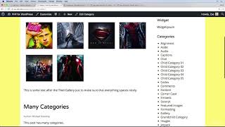 050 Working with Post Formats in WordPress