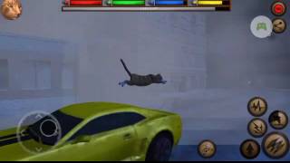 Ultimate Cat Simulator| I FINALLY GOT IT!
