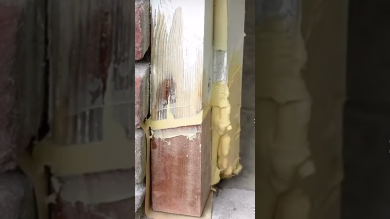 ✨ 木門腳發霉、爛咗點算？木門腳發霉、爆裂、爛到就快塌落嚟？#木工教學 #木門維修 #門腳發霉 #家居維修學院   #家居保養 #維修DIY #木門翻新 #木工技巧 #自己動手做 #維修王