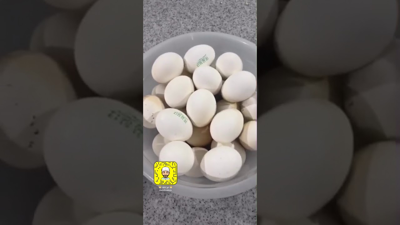 عمل باتيه و طريقة تحضير وحفظ البيض والمستنبت