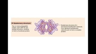 Chapter 2.10 Protein BIO201