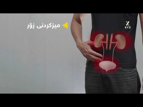 پێش وەستانی گورچیلەکان چی ڕوودەدات